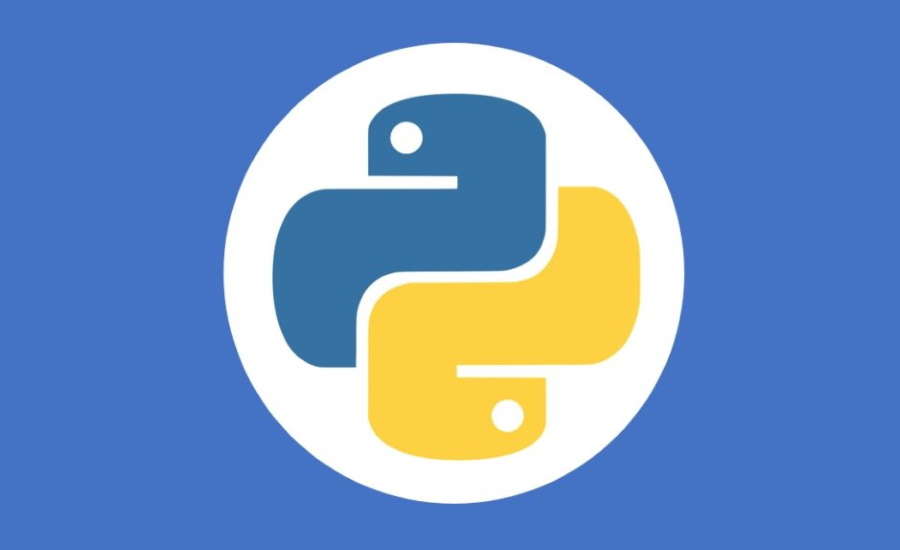 What Is Python